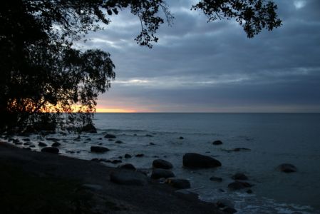 Thumb 580 IMG 37541.