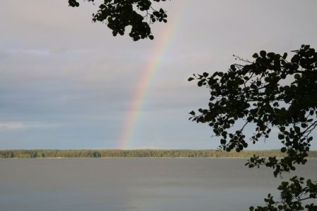 Thumb 580 IMG 39841.